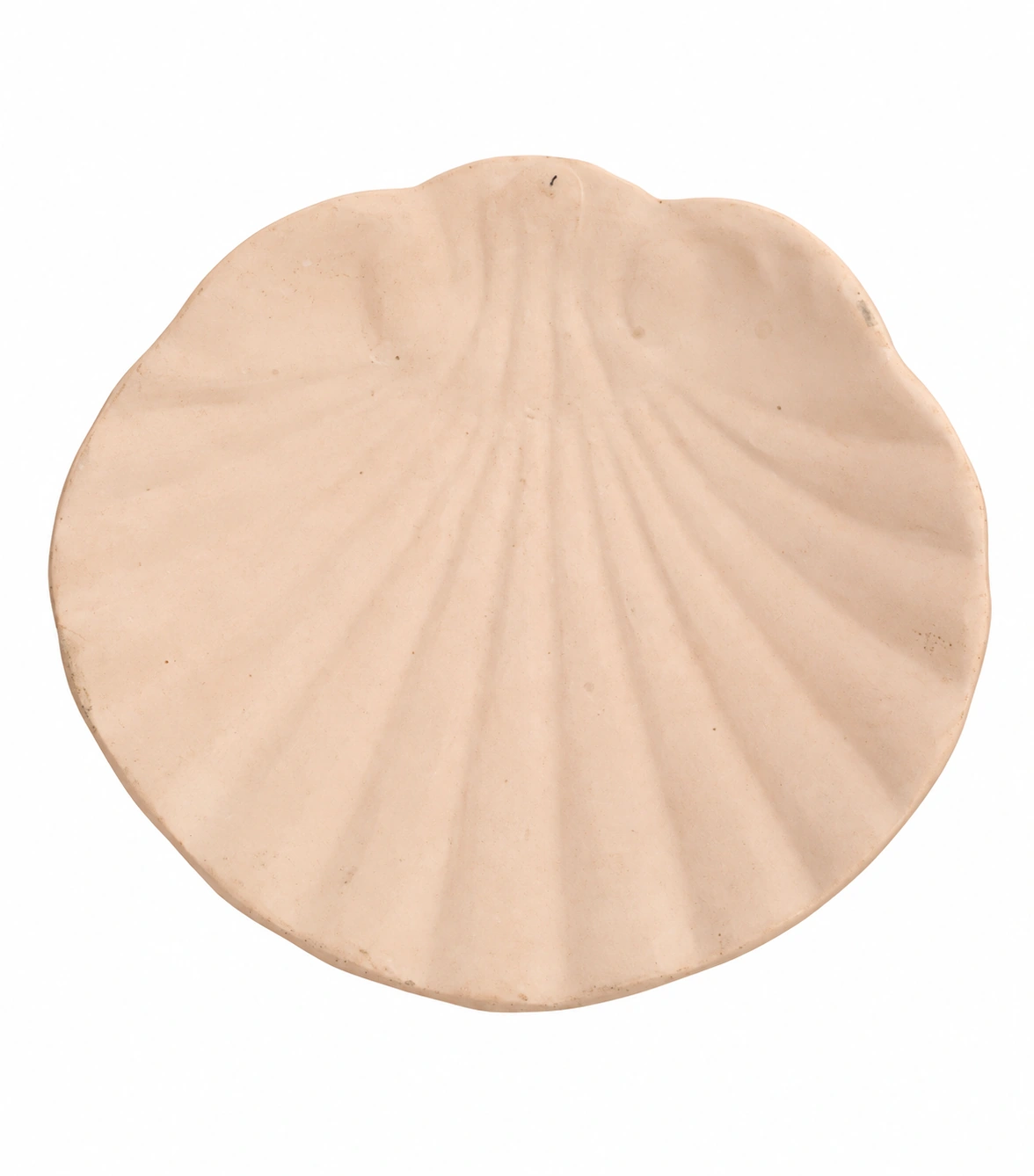 Coupelle décorative en forme de coquillage — Réf. DST152